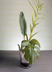 Thrift Store Shopping: Reap the Rewards of Reuse Image
